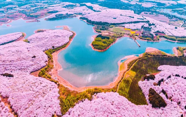 貴陽萬畝櫻花、油菜花、千戶苗寨、黃果樹瀑布、荔波小七孔、萬峰湖遊船三排座８日(自由行)