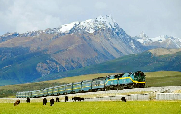 青藏鐵路全景、拉薩布達拉宮大昭寺、羊卓雍措秘境三排座１３日(自由行)