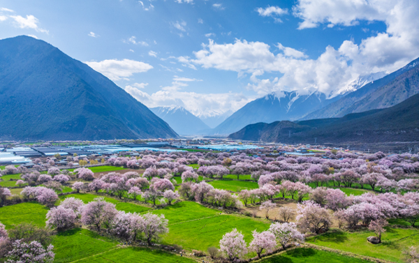 【林芝桃花季】13日自由行(CA)青藏鐵路全景、拉薩布達拉宮大昭寺、羊卓措秘境三排座
