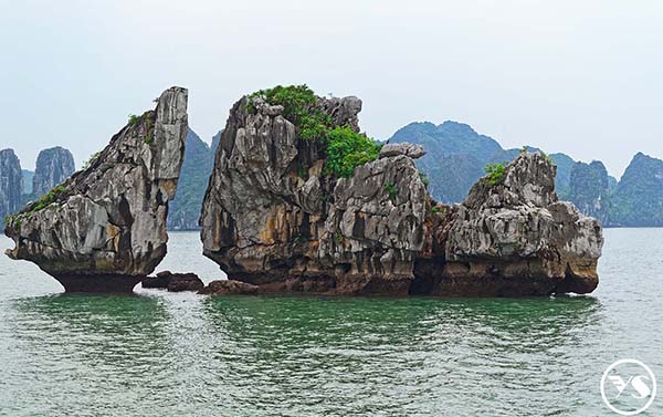 河內下龍灣阿普特斯號遊船~超值雙龍灣5日(CI)