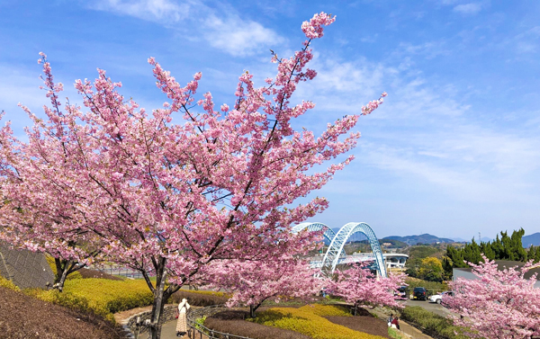 地中海郵輪假期榮耀號-釜山、佐世保自主遊６天(內艙)
