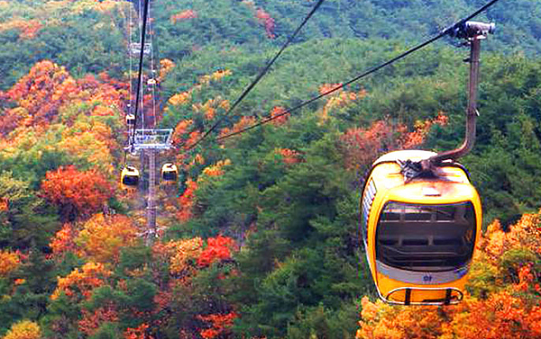 釜邱追楓~八公山賞楓.EWOLD樂園粉黛草.膠囊列車美食五日(不走人蔘保肝)
