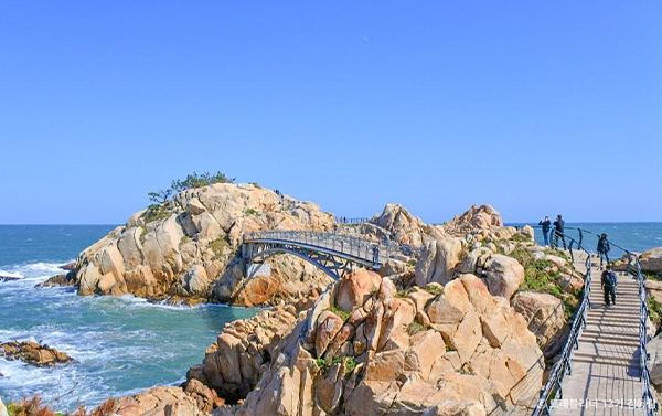 【雪戀釜蔚慶】冬季限定.十里竹林.佛國寺.海岸列車.鐵路自行車5日(不走人蔘.保肝)