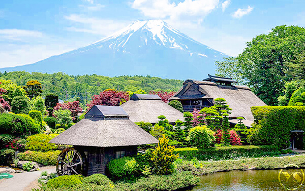 東京橫濱富士山.鎌倉大佛.江之島5日(JX/BR)