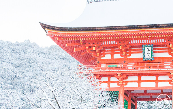 大阪冰雪海洋奇緣｜震撼樹冰纜車×雪盆樂×螃蟹燒烤泡湯五日(JX/BR/VZ/D7)