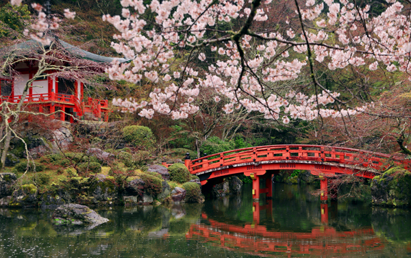 【大阪 櫻花聖地巡禮+螃蟹國產牛吃到飽】須磨浦纜車x近江八幡遊船五日(JX/BR/VZ)