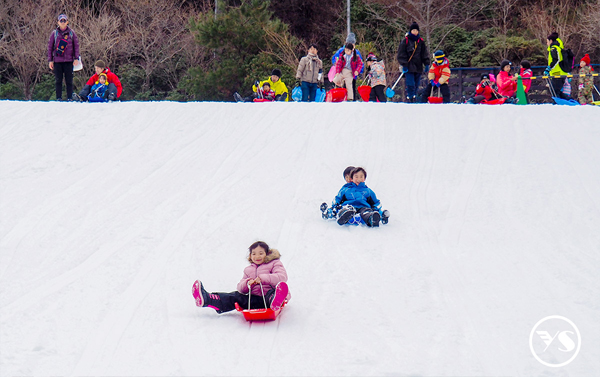 大阪雪地玩翻天×海之京都天橋立×國產牛燒烤吃到飽五日(VZ)