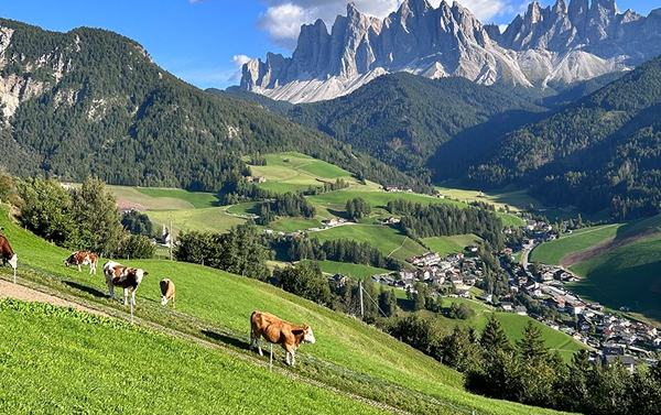 義奧多洛米堤旅遊分享會
