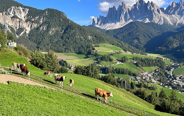 美西旅遊分享會