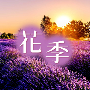 花季精選