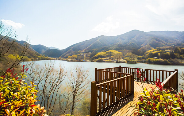 四國香川鹽江溫泉櫻花莊5天3場球、2人成行.無料接駁